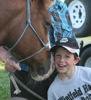 Getting to know the horses