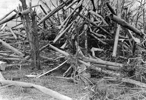 Irrigation pipe thrown about by the 1980 tornado