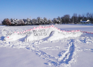 Morse Bluff dragon