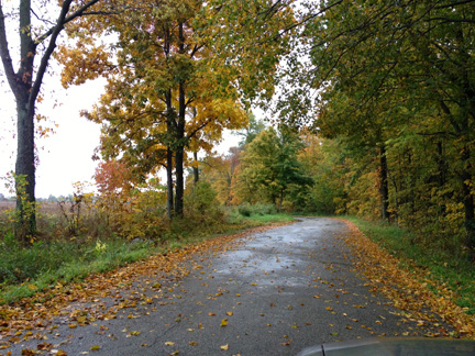 Indiana road