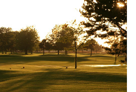 NBGC