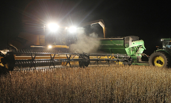Harvest near North Bend