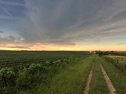 Eclipse sunset