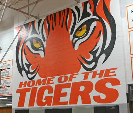 The new tiger mural in the NBC gym