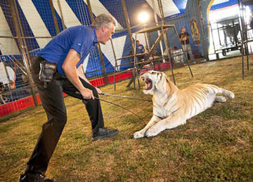 Circus coming to North Bend