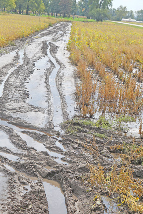 ruts