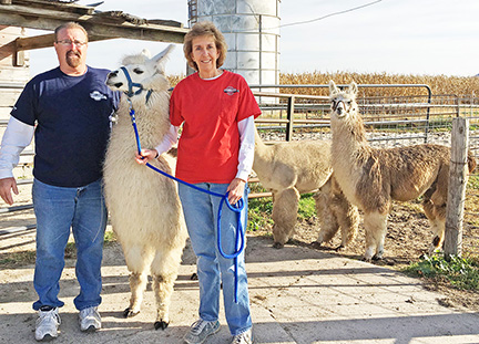 Llamas