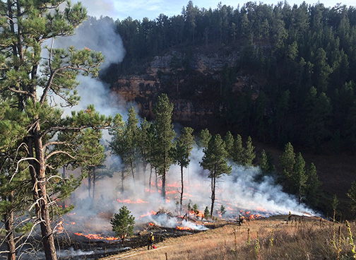 Controlled fire