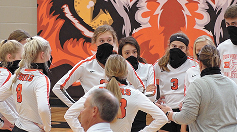 VB masks